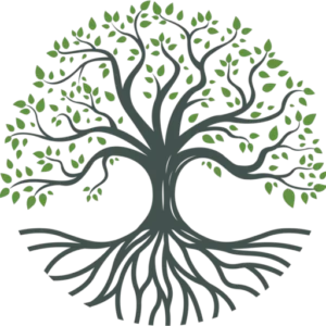 http://danielbusinessadvisory.com/wp-content/uploads/2024/08/cropped-circle-tree_sm.webp