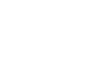 insights-icon-white